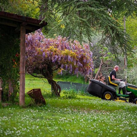 Tuscany Time Montefoscoli Dış mekan fotoğraf