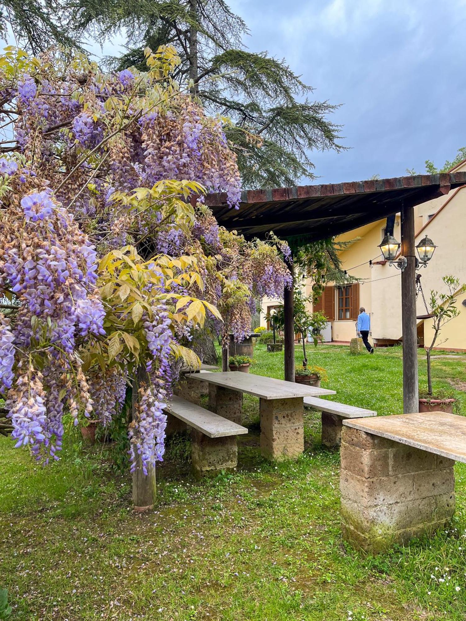 Tuscany Time Montefoscoli Dış mekan fotoğraf