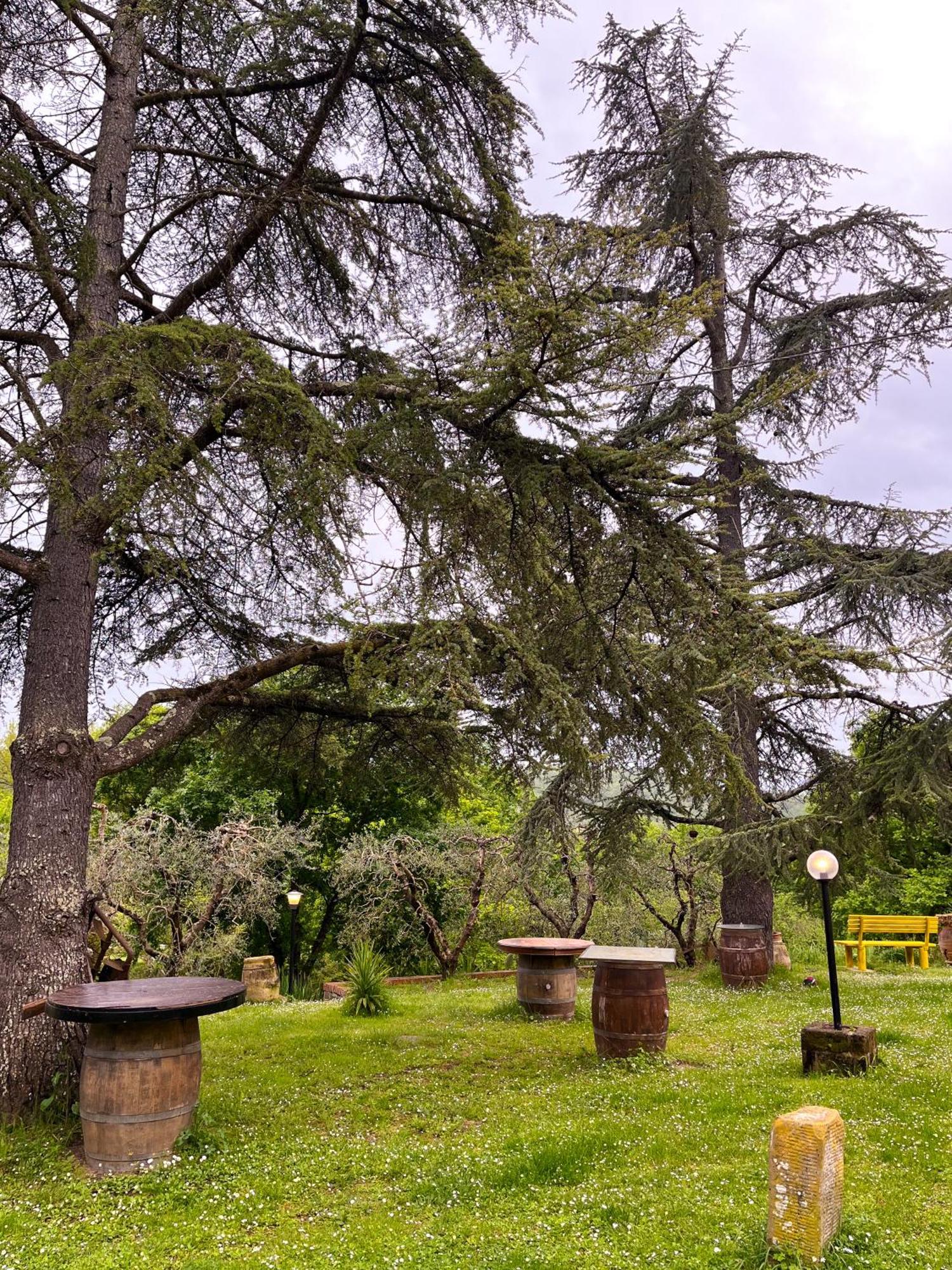 Tuscany Time Montefoscoli Dış mekan fotoğraf